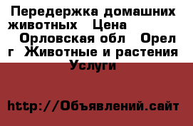 Передержка домашних животных › Цена ­ 100-300 - Орловская обл., Орел г. Животные и растения » Услуги   